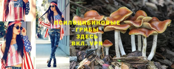мет Бугульма